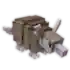 Armadillo