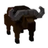 Cape Buffalo
