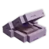Clam