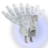 Albino Peacock